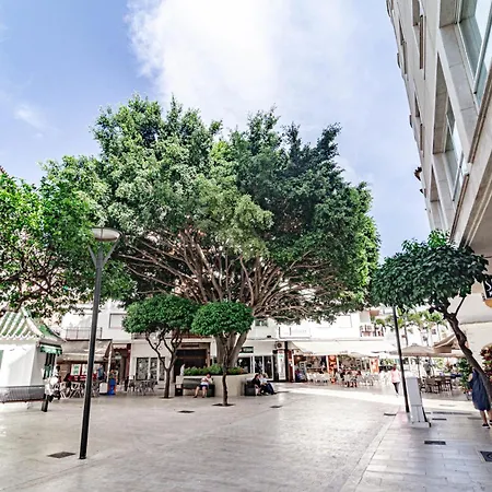 Terr69- Bright Gem In Charming Old Town