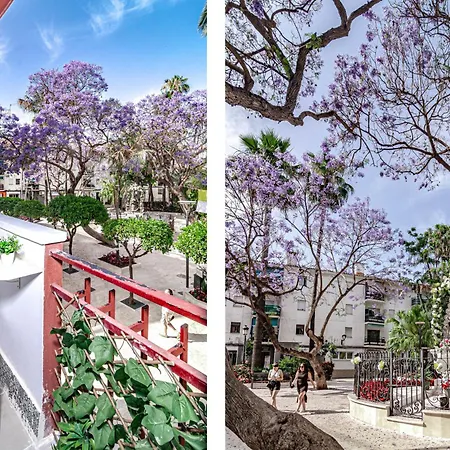 Terr69- Bright Gem In Charming Old Town Apartamento